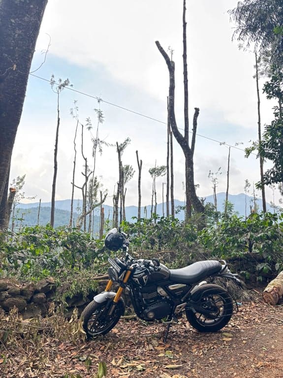 Meet my bike, Layla